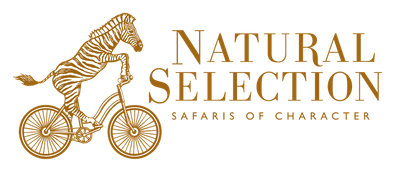 Natural Selection